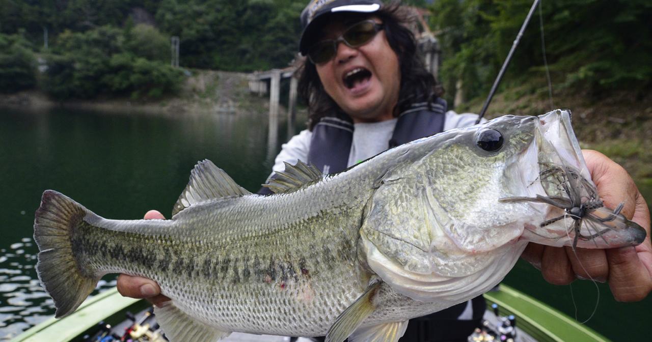 バス釣り初心者必読！釣りのポイントで粘るか？移動するか？の見きわめ方【菊元俊文直伝Q&A 特選一刀両断】