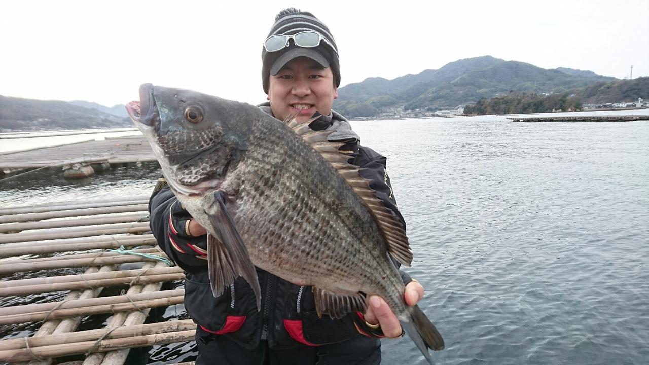 広島の新名物？カキイカダの下に潜む大物クロダイ仕留めたり！【釣具のポイント呉警固屋店スタッフ寄稿】