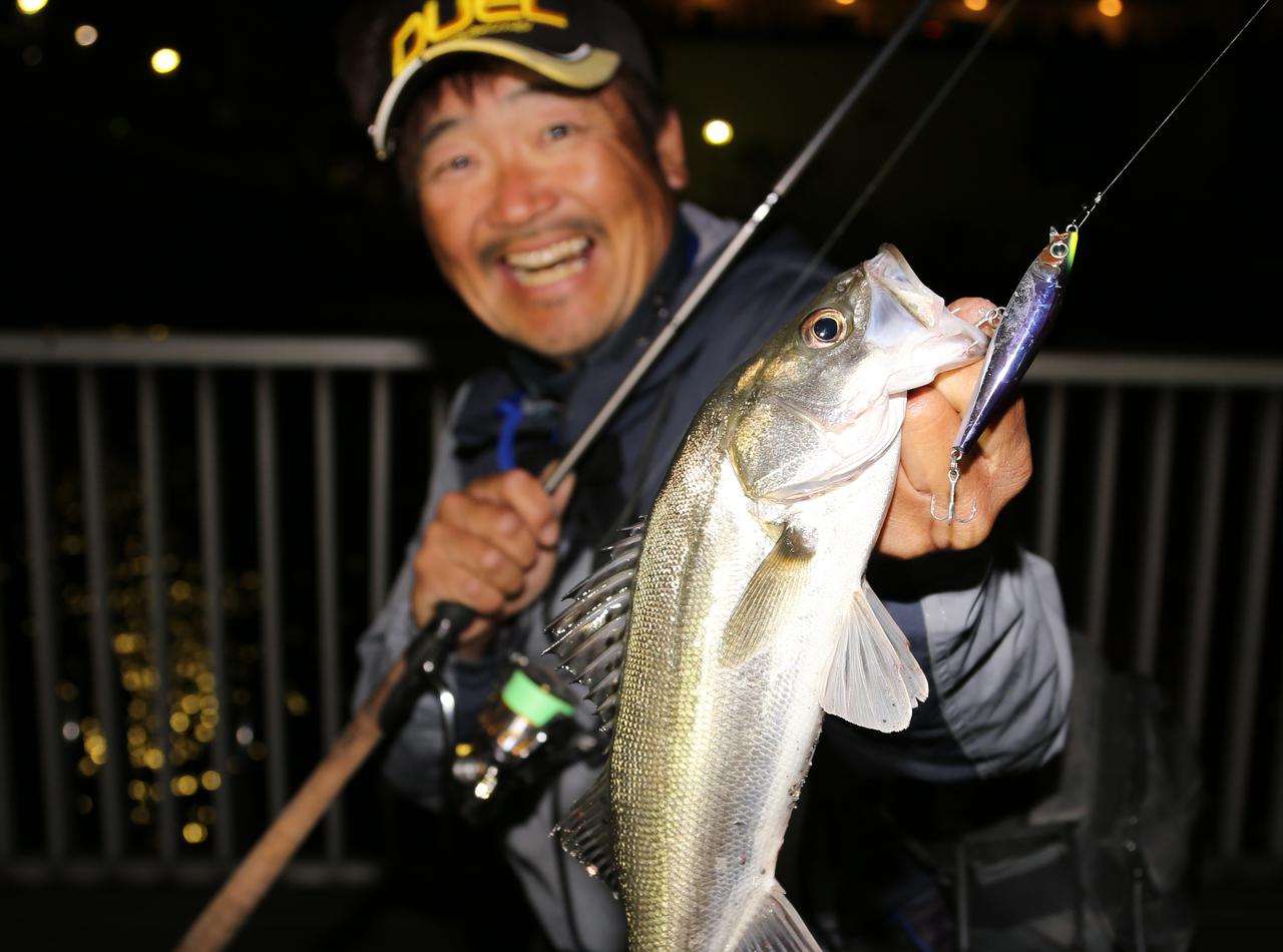 陸っぱりシーバスガイド 荻野貴生 がオススメする春の東京湾を攻略する2大ルアーをピックアップ ルアマガプラス