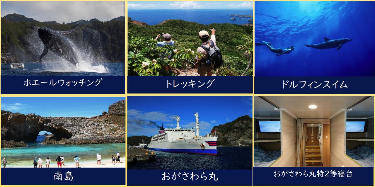 現世のパラダイス！あの小笠原へ激安で行くチャンスがやってきた！自分の名前にあの文字が入ってたら検討せよ！