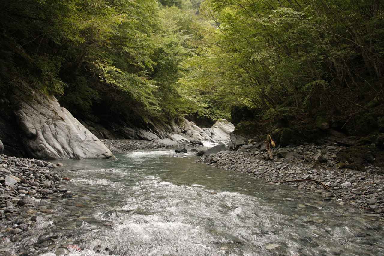 埼玉県荒川水系のとある支流。水質抜群のクリアな水が流れる深い溪。