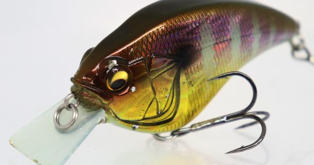 10月のバスは”スクリームX”で釣れ！【かつぅのHOW TWO メガバスプラグ