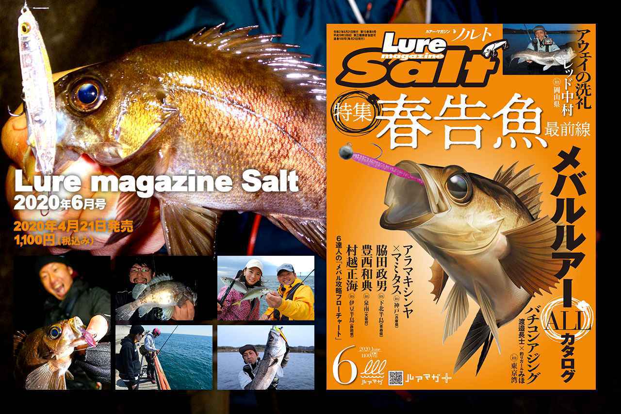 メバルライトゲームセット月下美人ブルーカレント 春告魚”メバルを虜にするDAIWA「月下美人」のおすすめルアーを