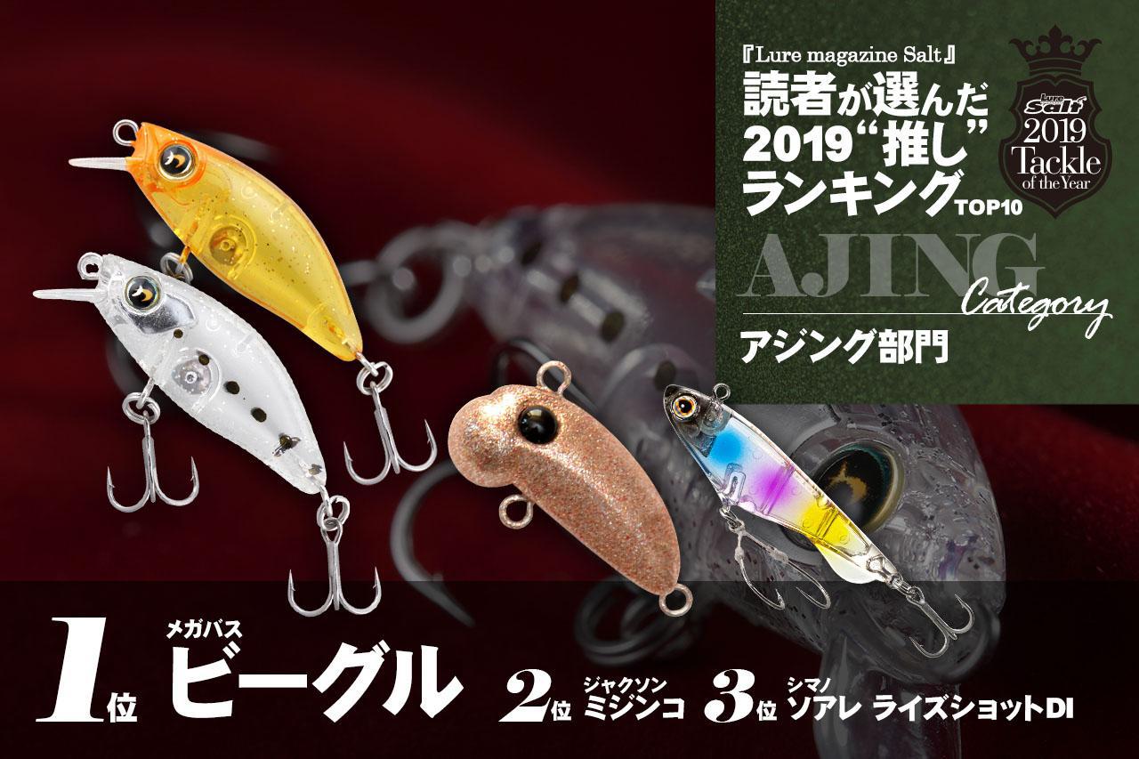 2019年で1番人気だったショアジギング用メタルジグはこれだ！ 読者投票