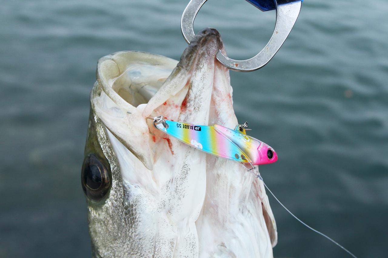 基本だけでも魚は十分釣れることをヒロセ☆マンは教えてくれた【広瀬達樹×ルアーマガジンソルト新連載開始！】