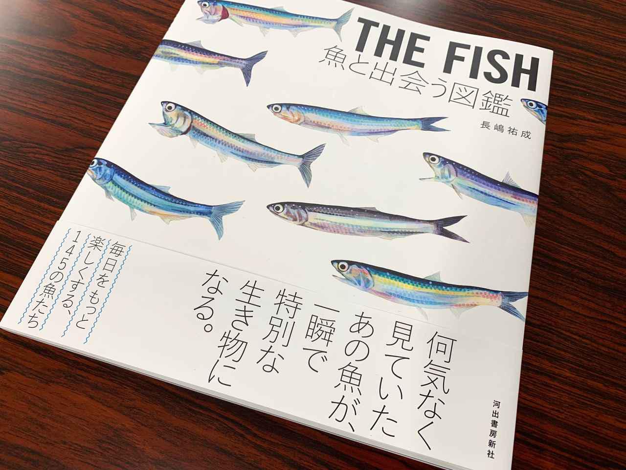 魚好きには堪らない素敵な図鑑が発刊！ 「THE FISH 魚と出会う図鑑」（長嶋祐成）