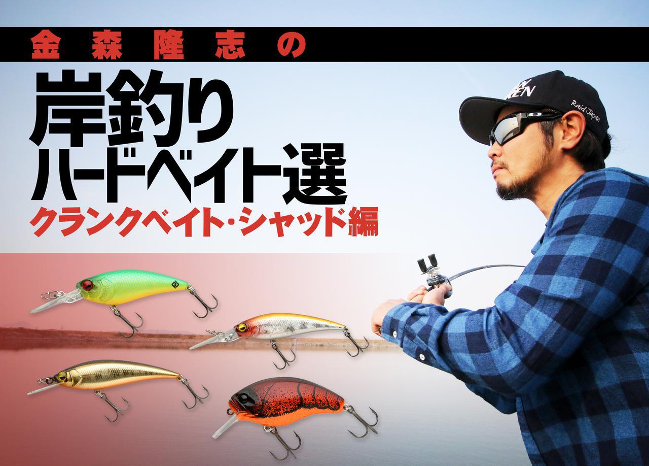 レジェンド陸王”金森隆志、新時代のバス釣りについて語る。必須ルアーを総まとめ！【岸釣りハードベイト選】│ルアマガプラス