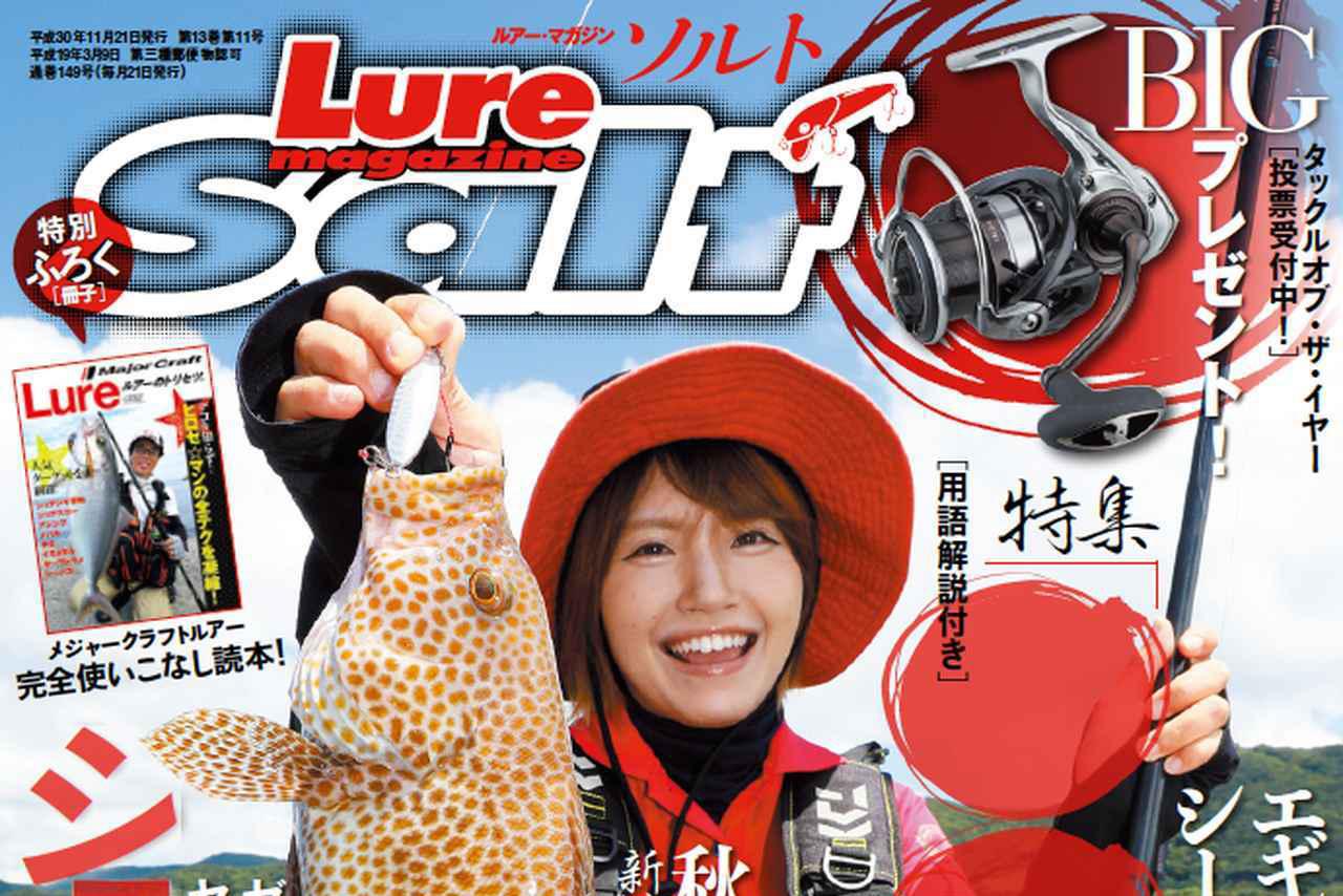 ルアーマガジン・ソルト11月号発売！【BIGプレゼント│みっぴ新連載│4魚種の基本│ショア青物│ふろくはメジャクラ読本】