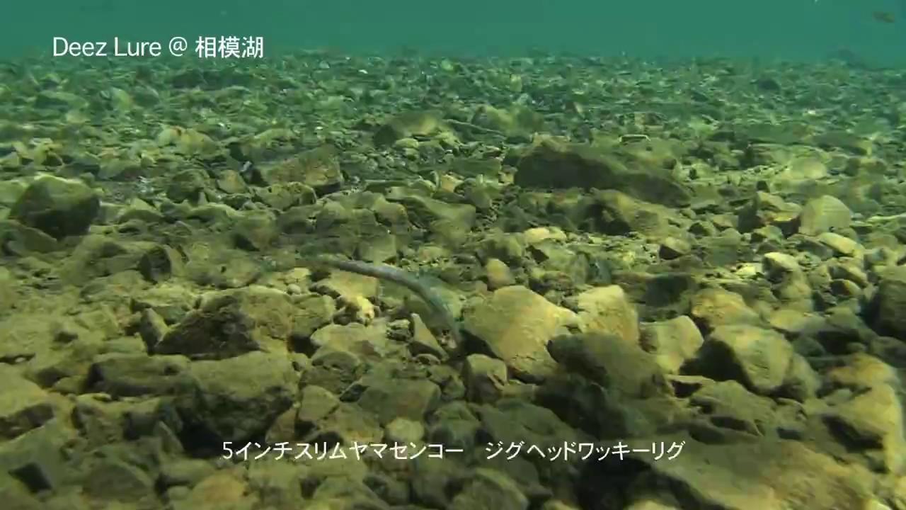 青木大介のルアーアクションを水中映像で追え！【アナタのルアー、本当に水中で動いてる？】