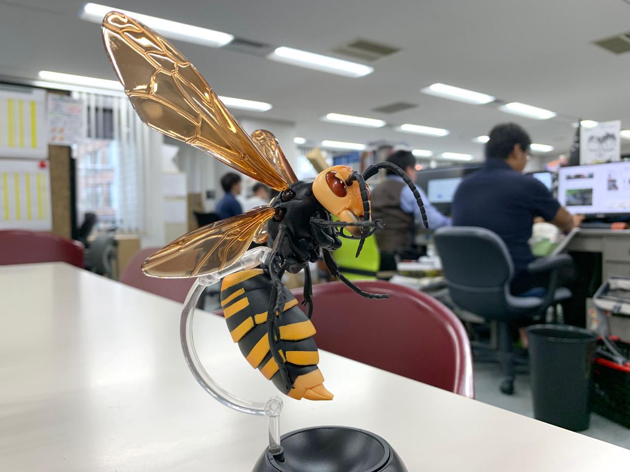 ガチャのスズメバチ・フィギュアの精巧さにルアマガ編集部が虜に！ こりゃぁ、買わないと….!!【いきもの大図鑑】