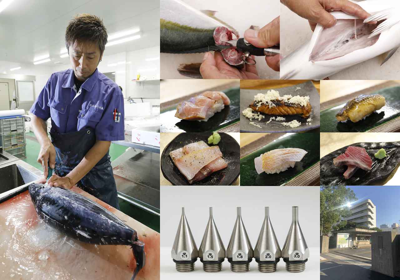 3月1日！『津本式・究極の血抜き』の可能性を探るシンポジウムが東京海洋大学（品川）で開催。魚食の革命始まるっ！