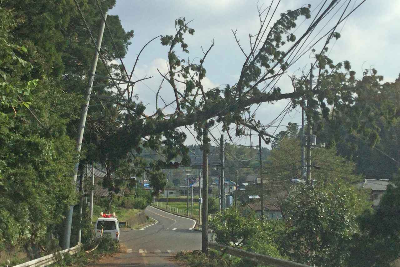 【台風15号が残した爪痕】大規模停電・断水に見舞われた千葉県レンタルボート屋の現状
