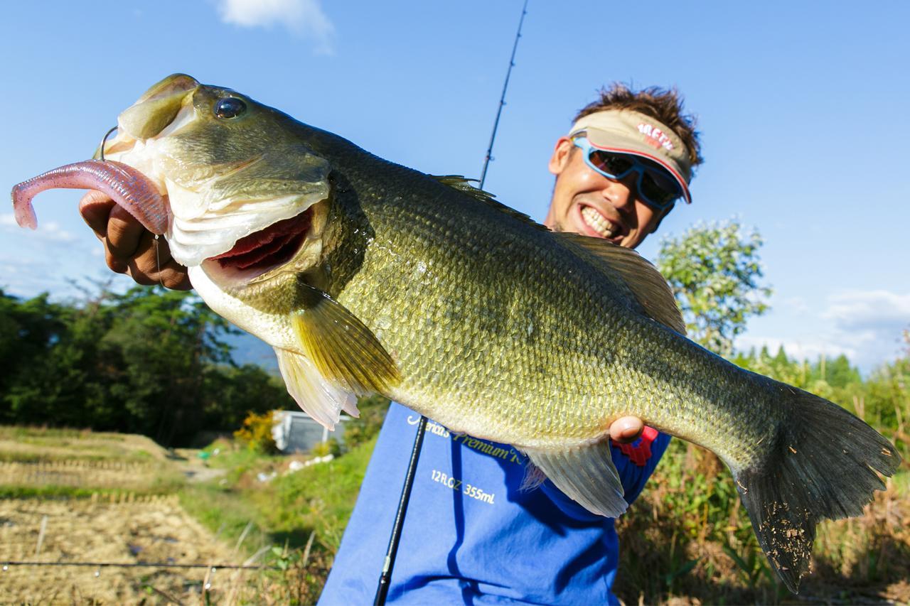 これで釣れなきゃバスはいない！ 困ったときのレッグワーム【#ゲーリー