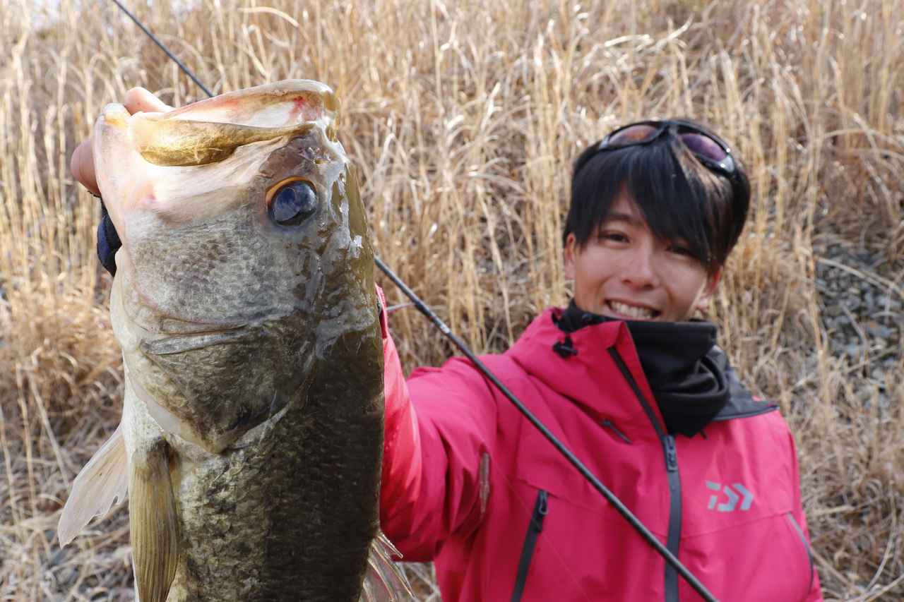 野池＠東北でビッグバス！　陸っぱりアカガエルパターン3【佐々木勝也】（216ページ目）