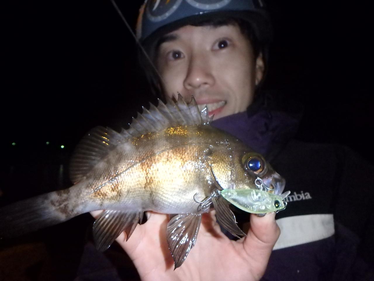 産卵後の大型メバルを狙え！＠兵庫県南芦屋浜【荒牧伸弥が教える、日本全国陸っぱりポイントガイド】