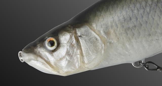 激レア　魚皮貼り　サルモスライダー　ブルーギル皮貼り　超リアル 魚皮貼りルアー | 名古屋のはく製屋さん！！
