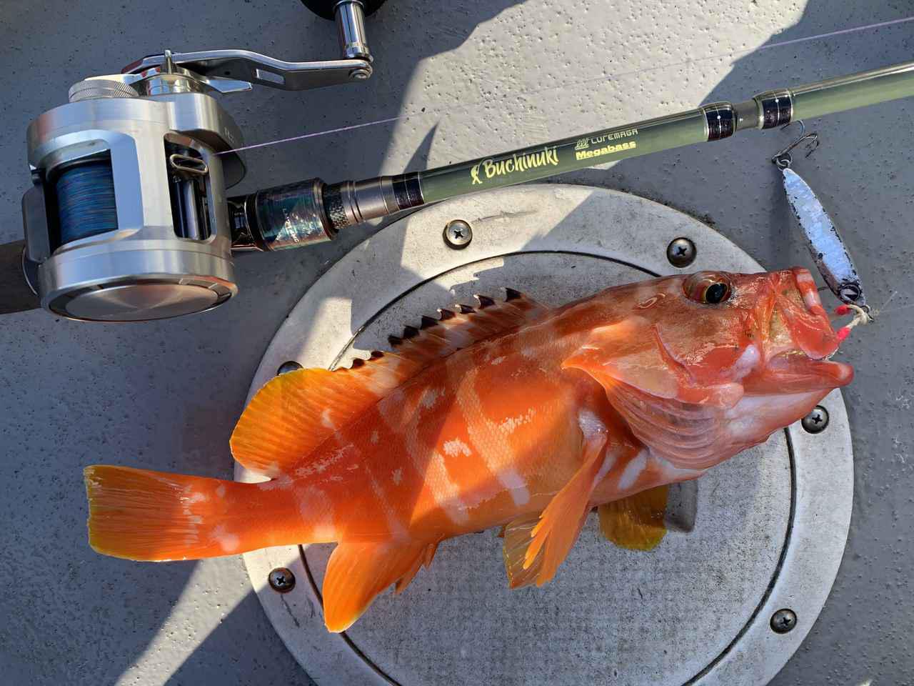 MEGABASS×LUREMAGAコラボのシーバスロッド【BUCHINUKI POWE MOBILE 2モデル】を釣りフェスティバル2020で展示！