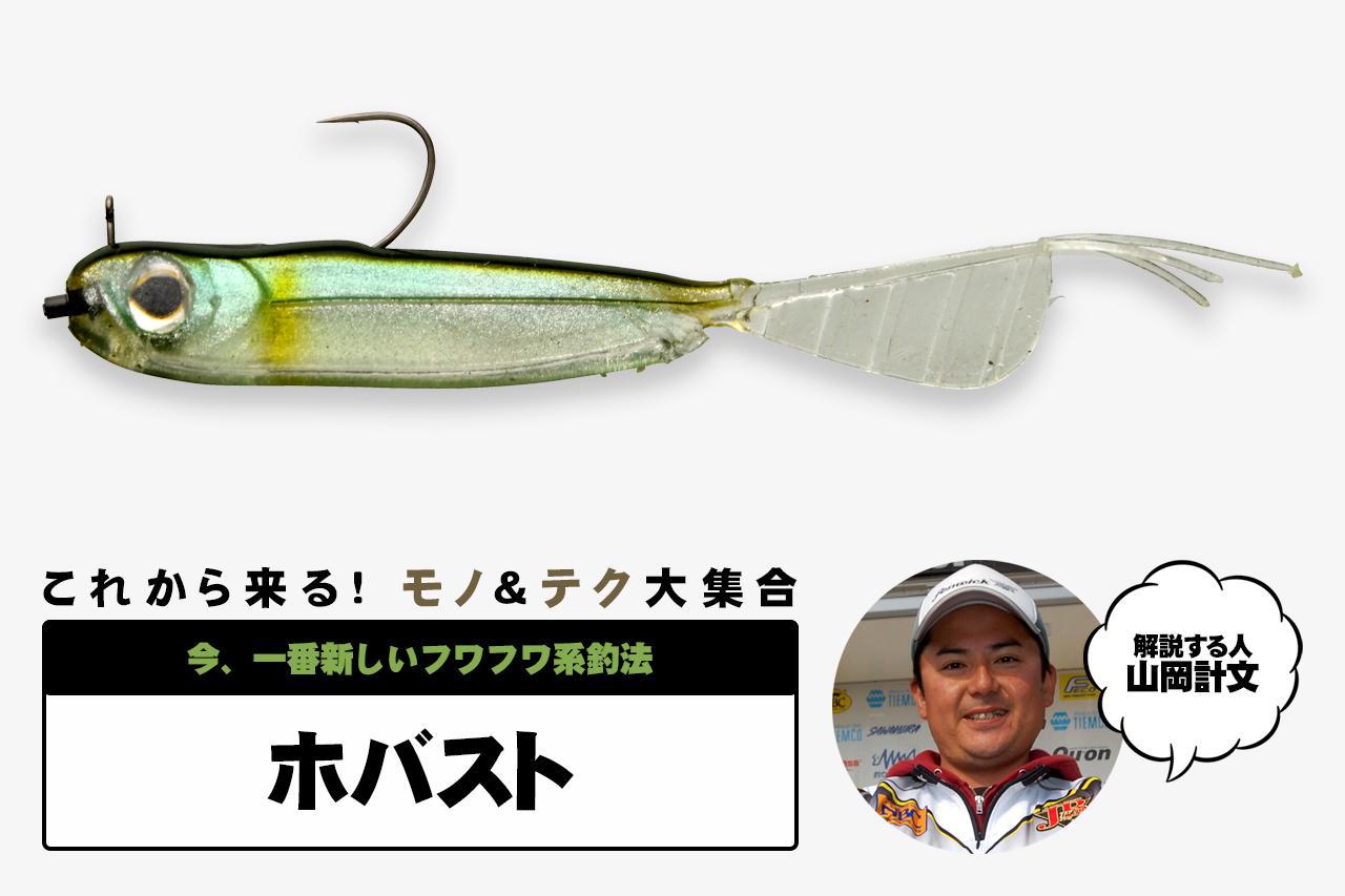 バス釣りのメッカ・琵琶湖で去年爆釣した『i字系』。今年はいかに