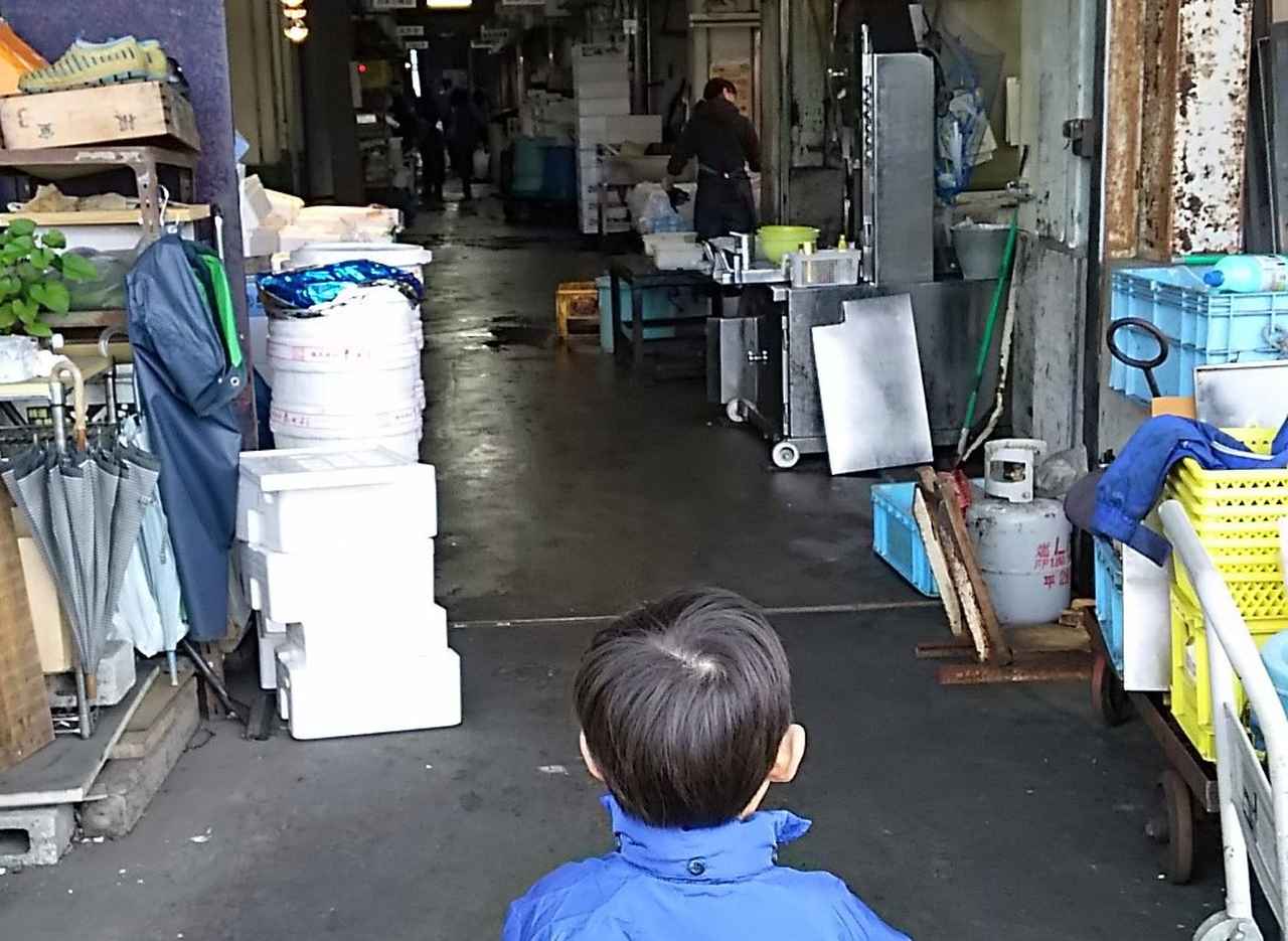 -50℃の冷凍庫でマグロ気分を味わう⁉ わくわく市場探検隊＠船橋市場・後編［少年釣り師育成ものがたり｜3話］