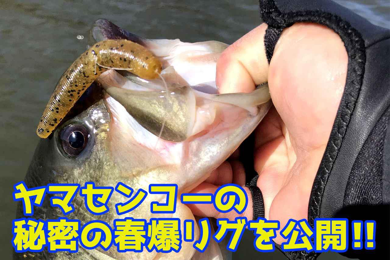 6月の推しゲー】琵琶湖で炸裂している『オタマ』ってなんだ