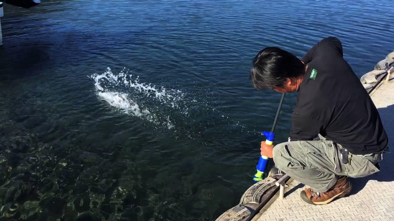 手動”ビルジポンプ”で船内の水をラクラク排水【レンタルボーターにオススメ！ 安全なボート釣りを楽しむために】│ルアマガプラス