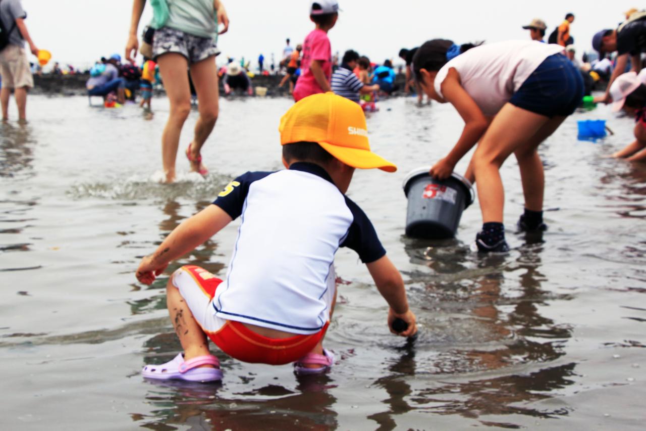 ふなばし三番瀬潮干狩りリベンジ！狩り尽くされた東京湾の砂浜で見つけたもの［少年釣り師育成ものがたり｜10話］