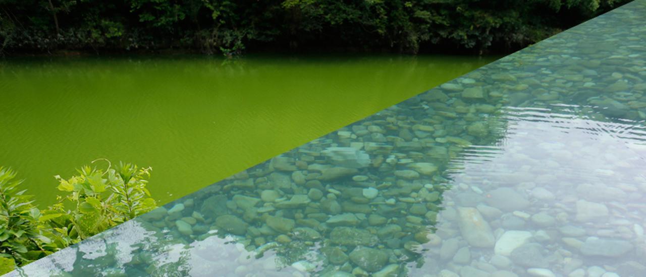 釣り場の水って酸性？ アルカリ性？【頭でっかちフィールド講座｜その6】（241ページ目）
