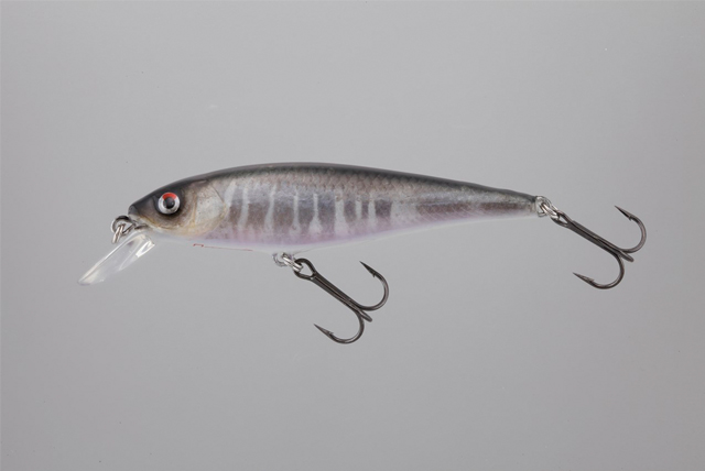 本物の魚皮を使ったスペシャルモデル限定販売！【ラッキークラフトの