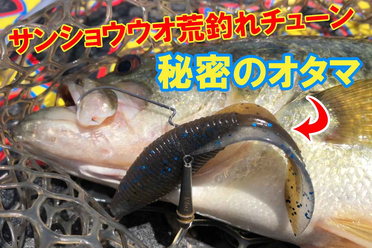 【6月の推しゲー】琵琶湖で炸裂している『オタマ』ってなんだ？【#ゲーリーつり部でシャキーン】