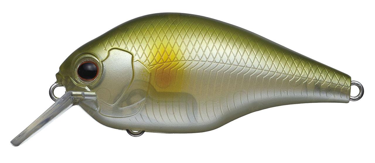 エバーグリーンの魅力的なバス用新製品が続々！！【8月ルアマガプラス新製品情報】