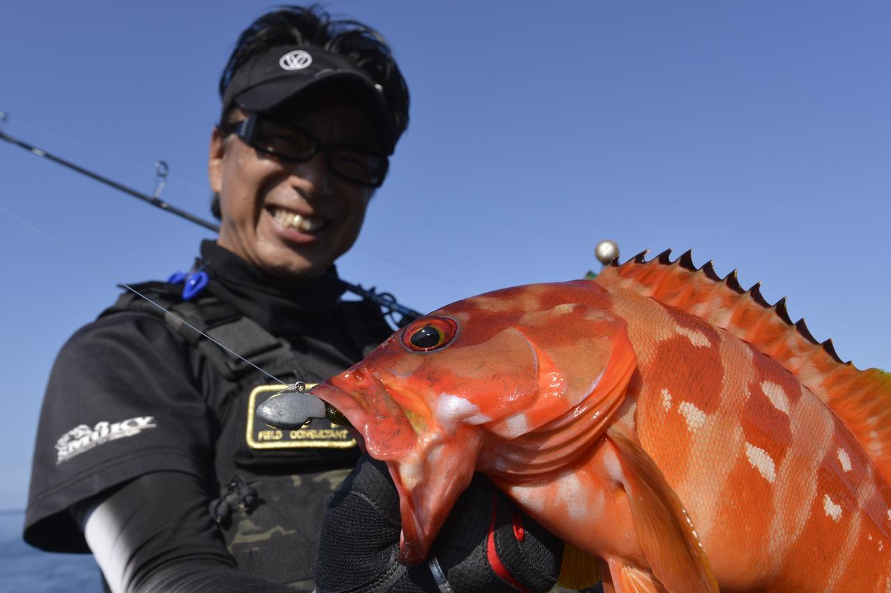 夏は グルーパーフィッシング デビューの季節 高級魚キジハタ アカハタが岸から釣れる ルアマガプラス