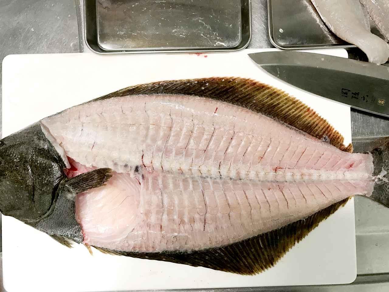 人生最初の”ルアーで釣ったヒラメ”を捌いて食べてみた、っていうハナシ（一部閲覧注意アリ）