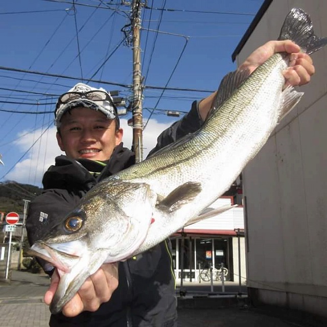 泳がせ釣りで大物狙い！相模湾・葉山沖で楽しめる手こぎボート釣りがオススメ【釣具のポイント横浜都筑店スタッフ寄稿】