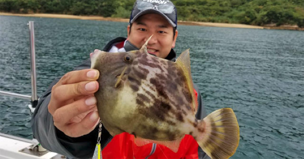 キモパンを狙え！ これからがシーズン本番、船の”カワハギ”釣りを実釣調査【釣具のポイント安芸坂店スタッフ寄稿】