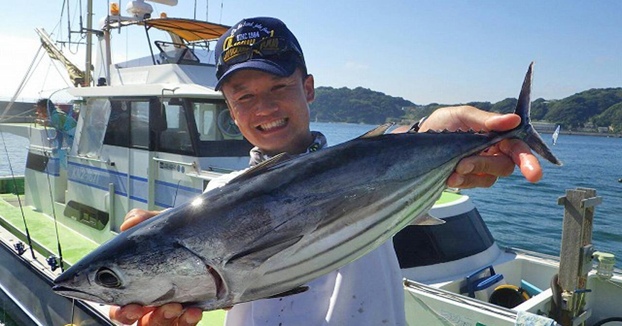 夏の相模湾をアツくするカツオ、マグロ！ 活イワシの泳がせ釣りで大物を狙え！【釣具のポイント横浜都筑店スタッフ寄稿】