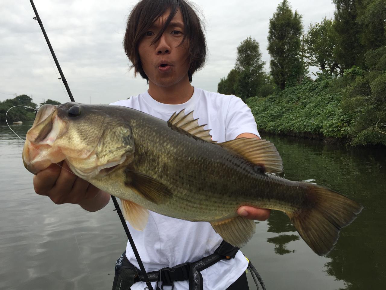 伊藤巧超えのクランク使いを目指し将監川／長門川へ【自称・編集部釣行日数No.1！誰得？フルカワの釣行備忘録｜1】