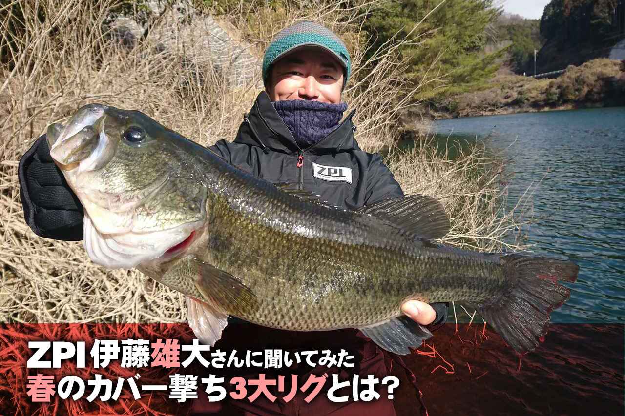 Zpi伊藤雄大さんに聞いてみた 春のカバー撃ち3大リグとは 寒の戻りバスにも即効 ルアマガプラス