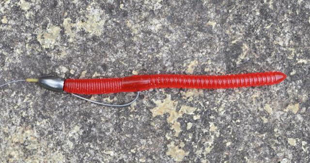 夏のバス釣り攻略ワザ ライトパンチング で浮草スポットを狙え 岡友成ゲキ推し 基本編 ルアマガプラス 夏のバス釣り攻略ワザ ライトパンチング で浮草スポットを狙え 岡友成ゲキ推し 基本編 ルアマガプラス