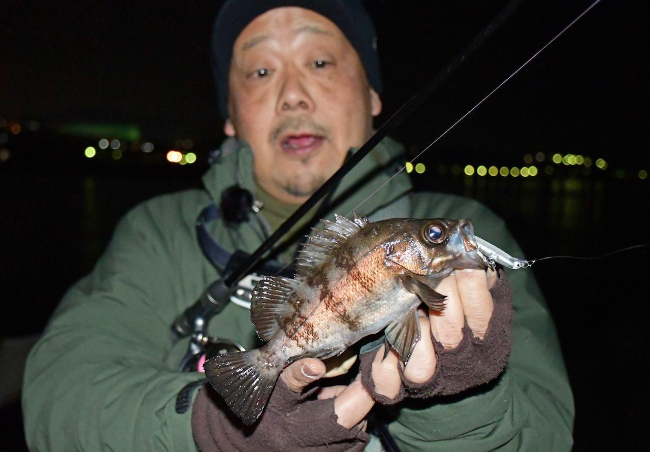尺メバル狙いならこれからがベストシーズン。厳選メバルルアー【武田栄編】