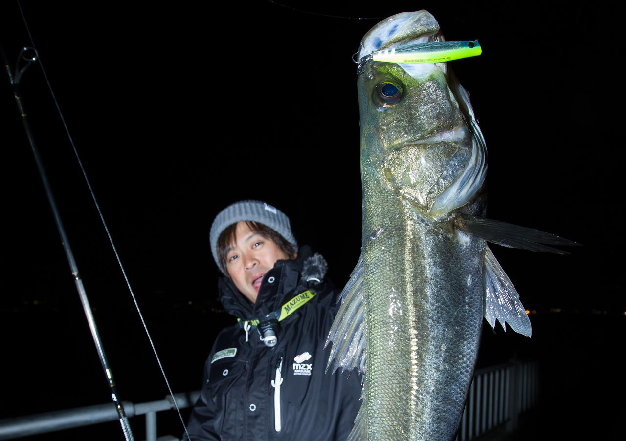 東京湾の春シーバス絶対兵器！ 湾奥のプリンス『大野ゆうき』がおすすめする2大ルアー!!