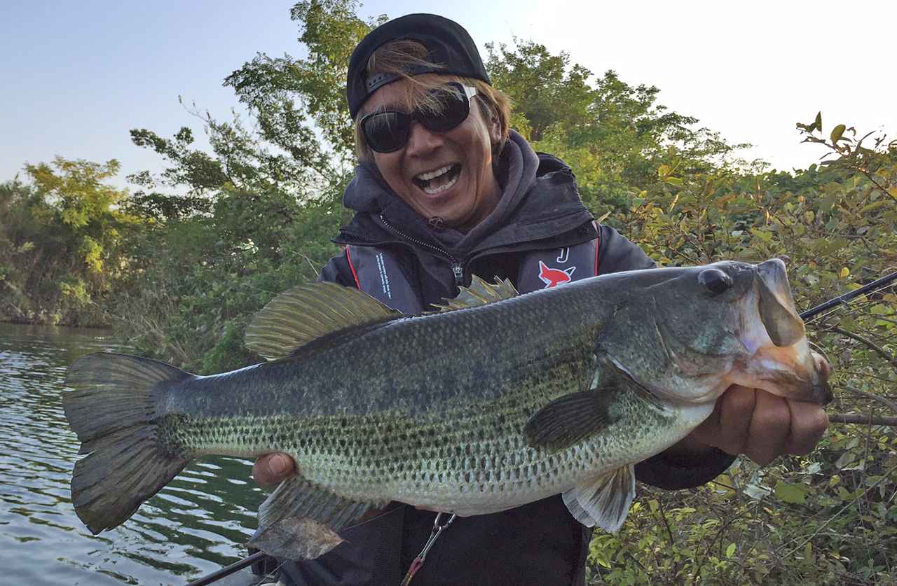 秋爆真っ只中 これが徳島県 旧吉野川のポテンシャルだ 赤松美陽の川バスストロングパターン ルアマガプラス