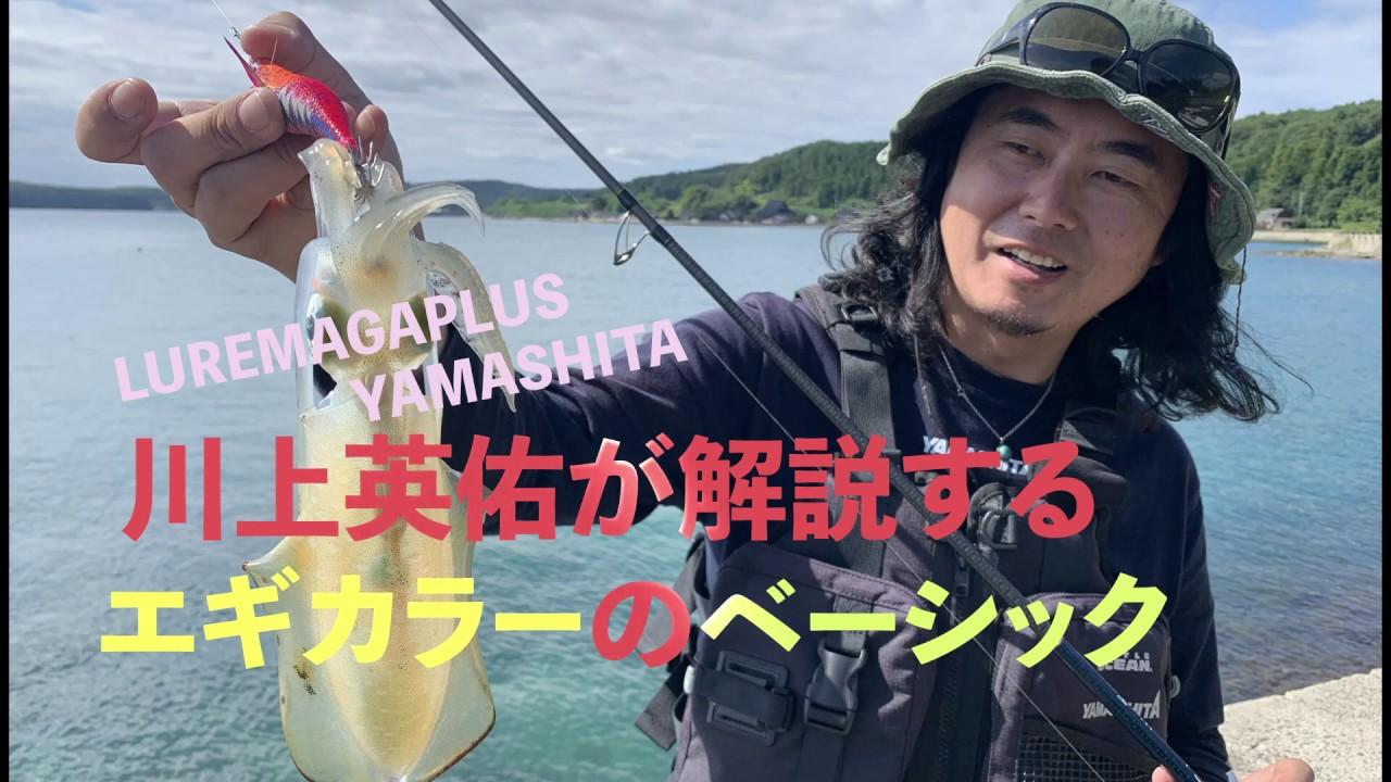 エギのカラーの使い分け基本講座。エギングマイスター・川上英佑さんの簡単解説！