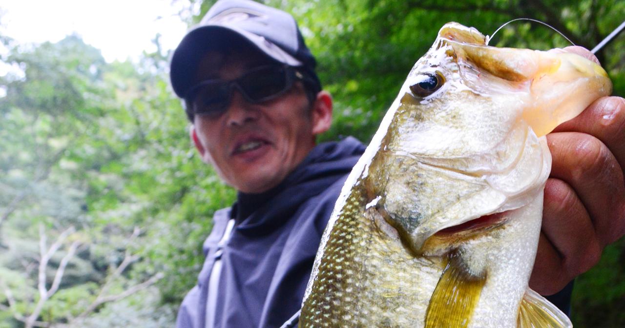 “バスにとってボトム（底）は食堂”！ 房総リザーバーマスター・折金一樹が明かす”湖底”の考え方（234ページ目）