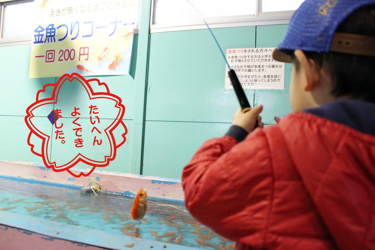 実録・生まれて初めて魚を釣った瞬間！ そして一人の釣り師が誕生した…［少年釣り師育成ものがたり｜6話］