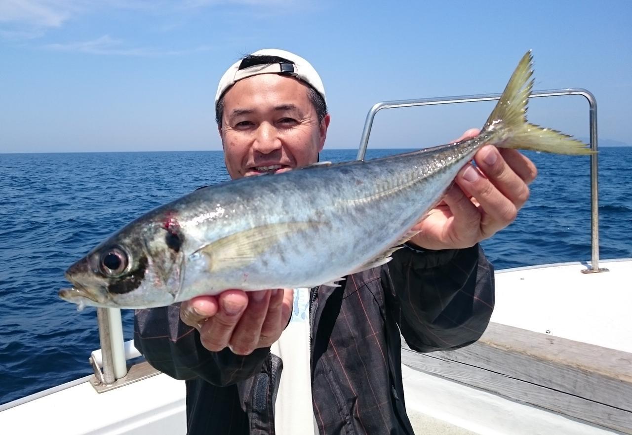 大分沖”関アジ”で作るデカアジフライを求めて。目指すは50センチオーバー！【釣具のポイントスタッフレポート】