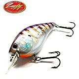 琵琶湖で大ブレイク中のマグナムクランクベイト”SKTマグナム”の実力