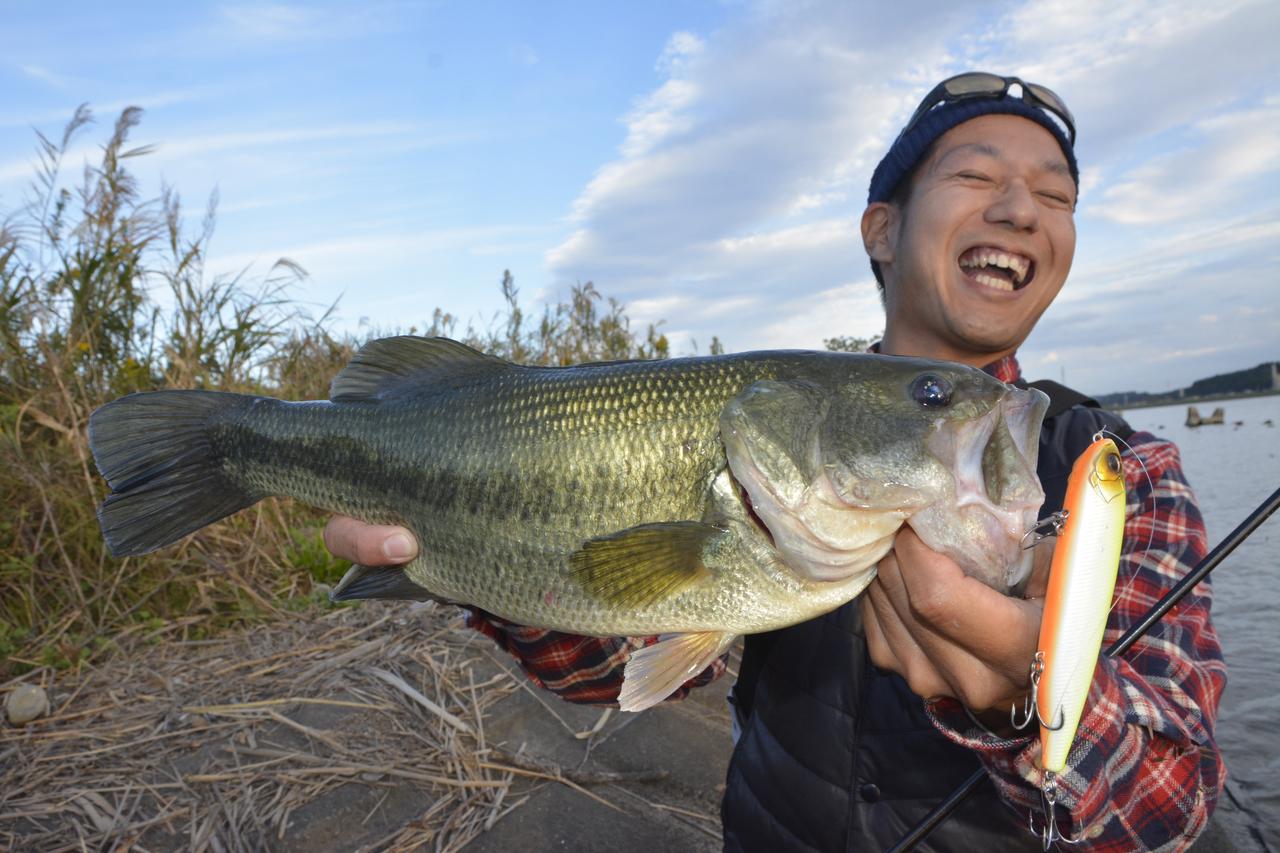 編集部o木がオススメする 誰でも使いやすいペンシルベイト ジャスティーン エバーグリーン ルアマガプラス