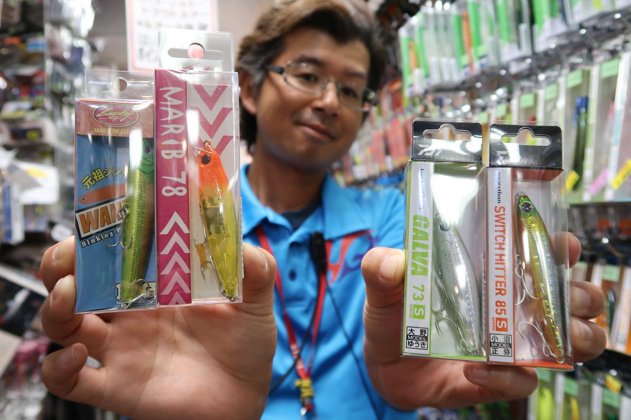 10月後半のシーバスは“シンキングペンシル”を制すれば東京湾を制す！？【月刊シーバス攻略予想 in 東京湾】