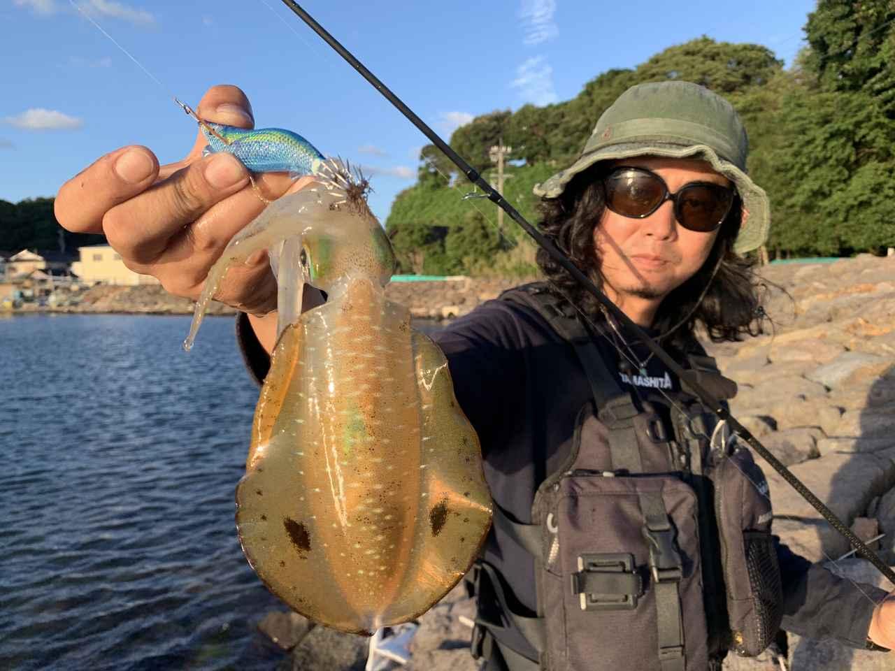 エギング！能登半島のスレエリアを川上英佑さんが攻略。侮るな新イカ！最強エギローテ術！