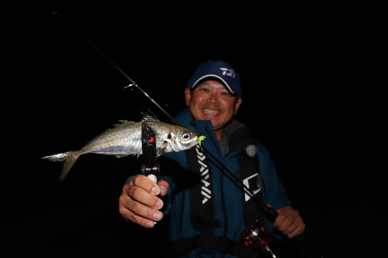 厳選！達人たちの“ココイチ”ルアー【アジング編】渡邉長士（DAIWA）